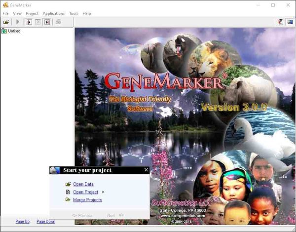 GeneMarker 